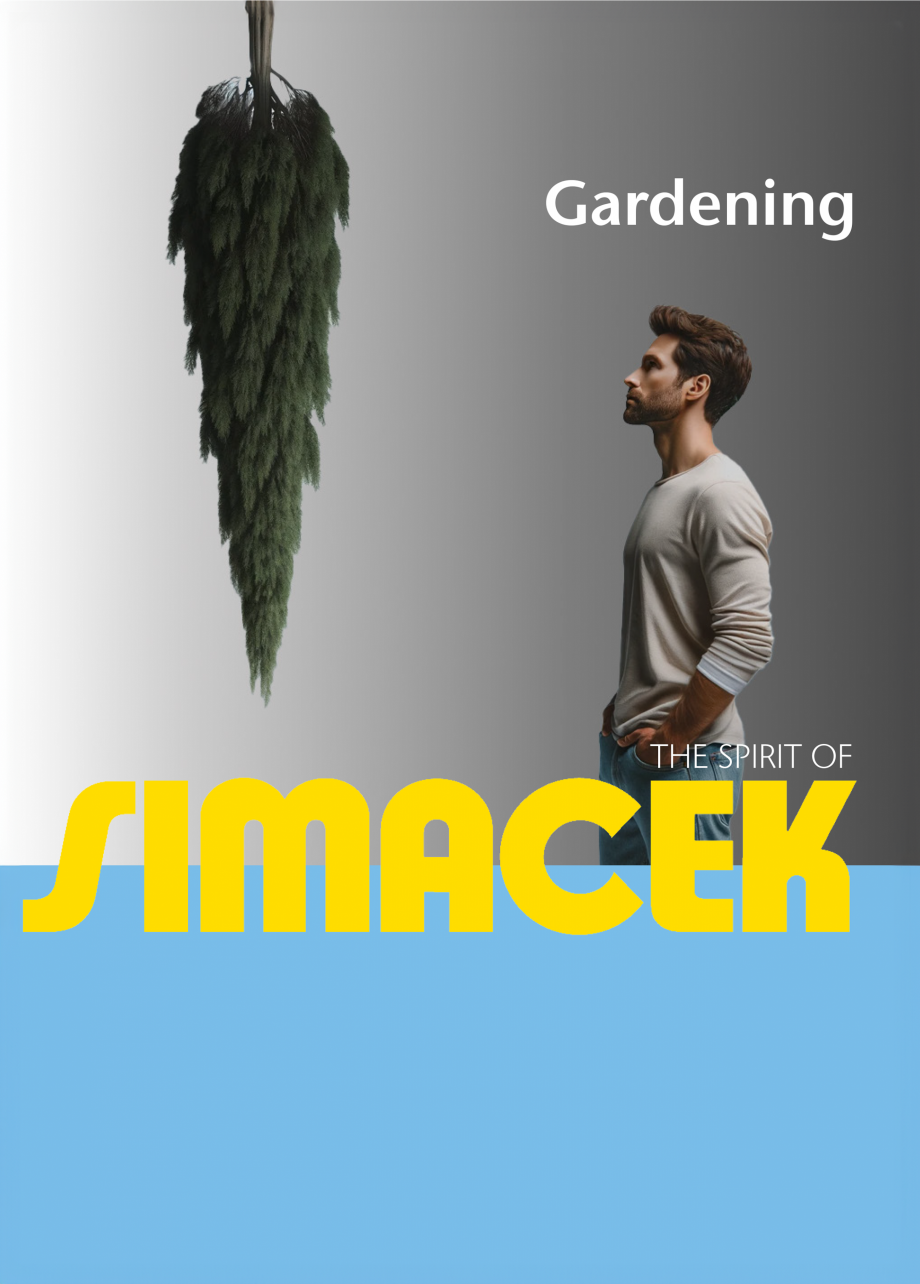 Pagina 1-Gardening - Portofoliu de referinta  Lucrari, proiecte Romana Gardening
P o r to f o l i u d e r e ...