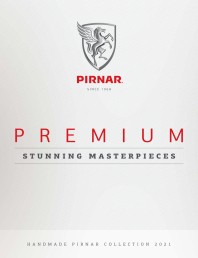 Usi de intrare Pirnar Premium