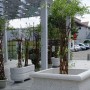 Jardiniere si ghivece decorative