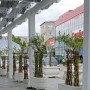 Jardiniere si ghivece decorative