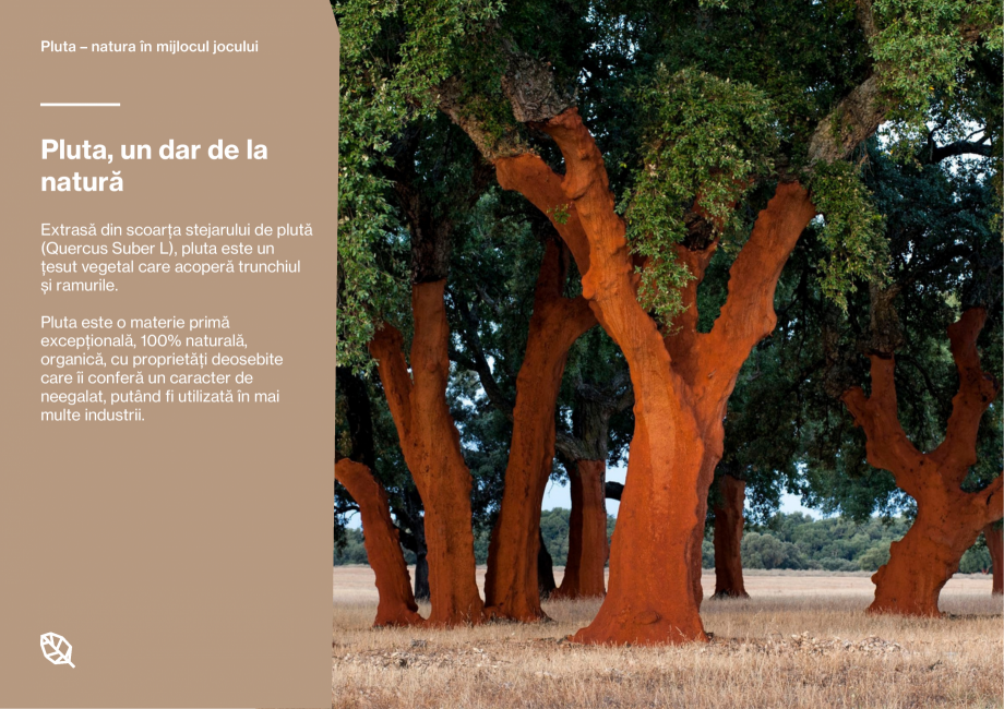 Pagina 3-Pardoseli din pluta pentru locuri de joaca Corkeen by Amorim Catalog, brosura Romana .

Lignină
27%...