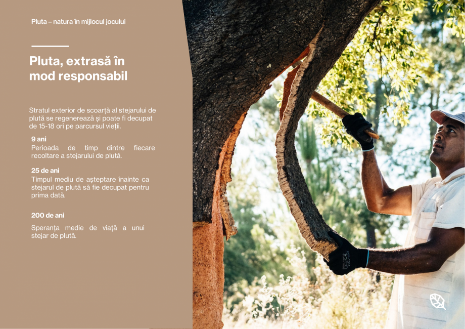 Pagina 4-Pardoseli din pluta pentru locuri de joaca Corkeen by Amorim Catalog, brosura Romana buție majoră
...