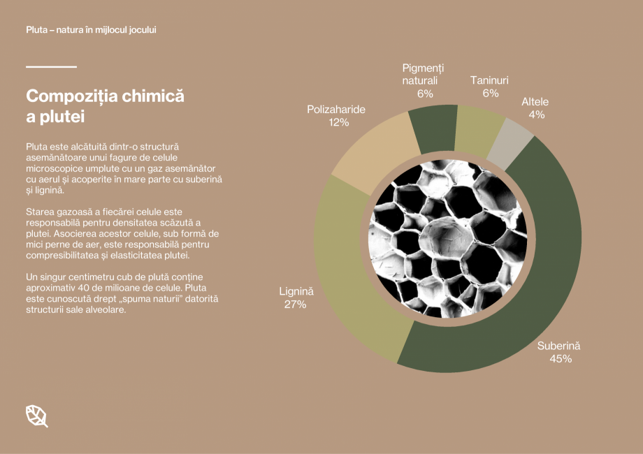 Pagina 5-Pardoseli din pluta pentru locuri de joaca Corkeen by Amorim Catalog, brosura Romana  tendințele...