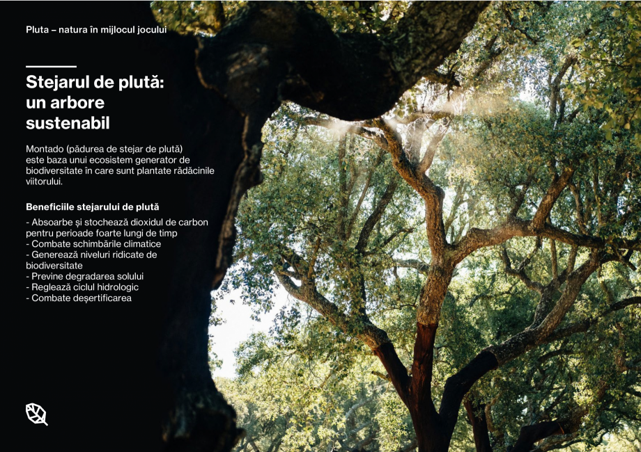 Pagina 7-Pardoseli din pluta pentru locuri de joaca Corkeen by Amorim Catalog, brosura Romana e este o sursă...