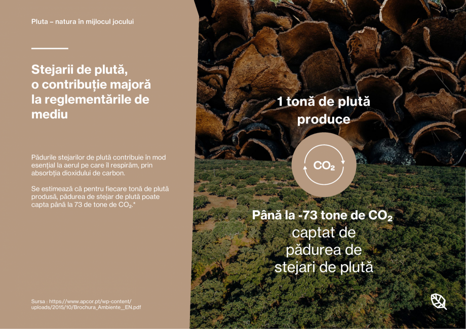 Pagina 8-Pardoseli din pluta pentru locuri de joaca Corkeen by Amorim Catalog, brosura Romana emul de...