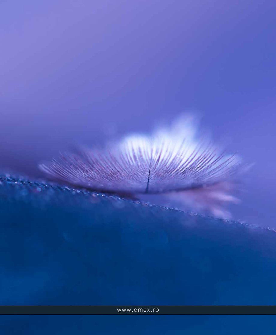 Pagina 35-Catalog  produse Emex  Catalog, brosura Romana  tehnice

Profesional

	
Este un produs monocomponent...