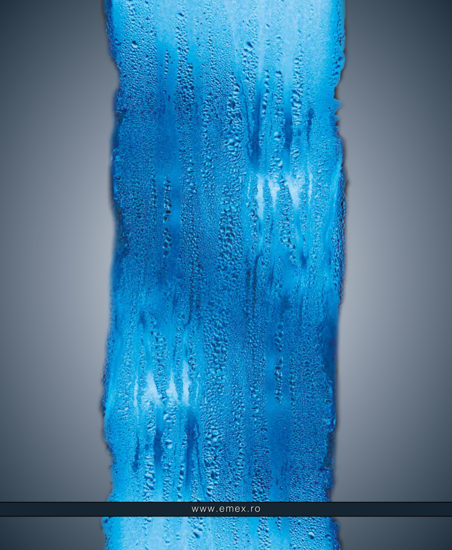 Pagina 79-Catalog  produse Emex  Catalog, brosura Romana 

omogen, fără depuneri

gr/cmc

1,10 ± 0,05

Nr. ...