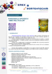 Pardoseala epoxidica decorativa Emex Multicolor EMEX - 