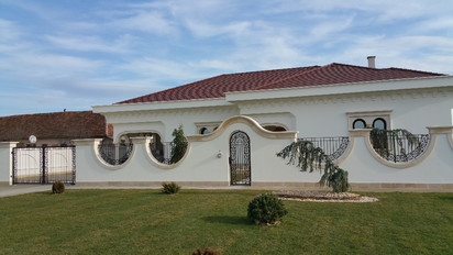 Gard masiv din piatra de Vistea Casa familiala din Arad - Amenajare exterioara