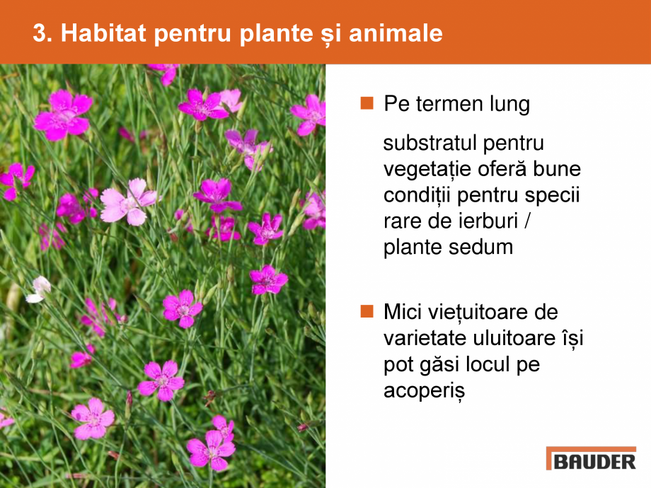 Pagina 5-Argumente pentru un acoperis verde BAUDER Catalog, brosura Romana 