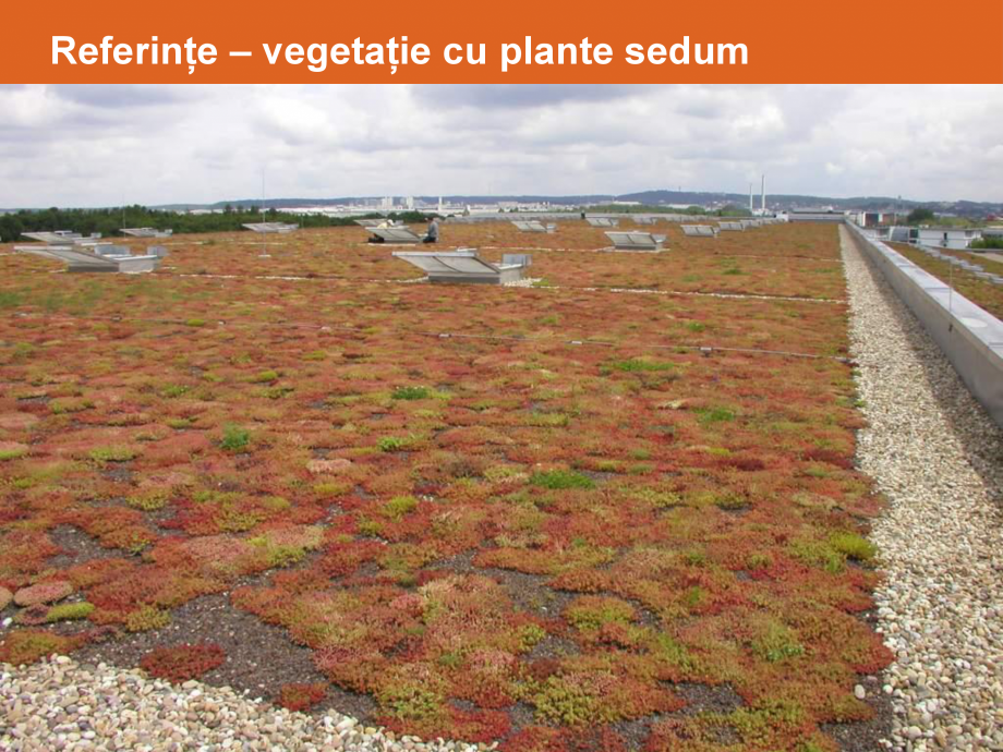 Pagina 28-Acoperis cu vegetatie extensiva, intensiva BAUDER Catalog, brosura Romana 