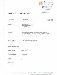 Raport inspectie 2013