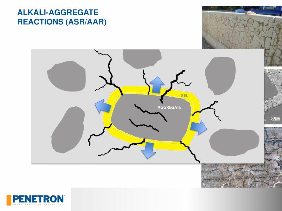 Pagina 11 - PENETRON - Durabilitatea betonului  Catalog, brosura Engleza 00E+00

C without Penetron ...