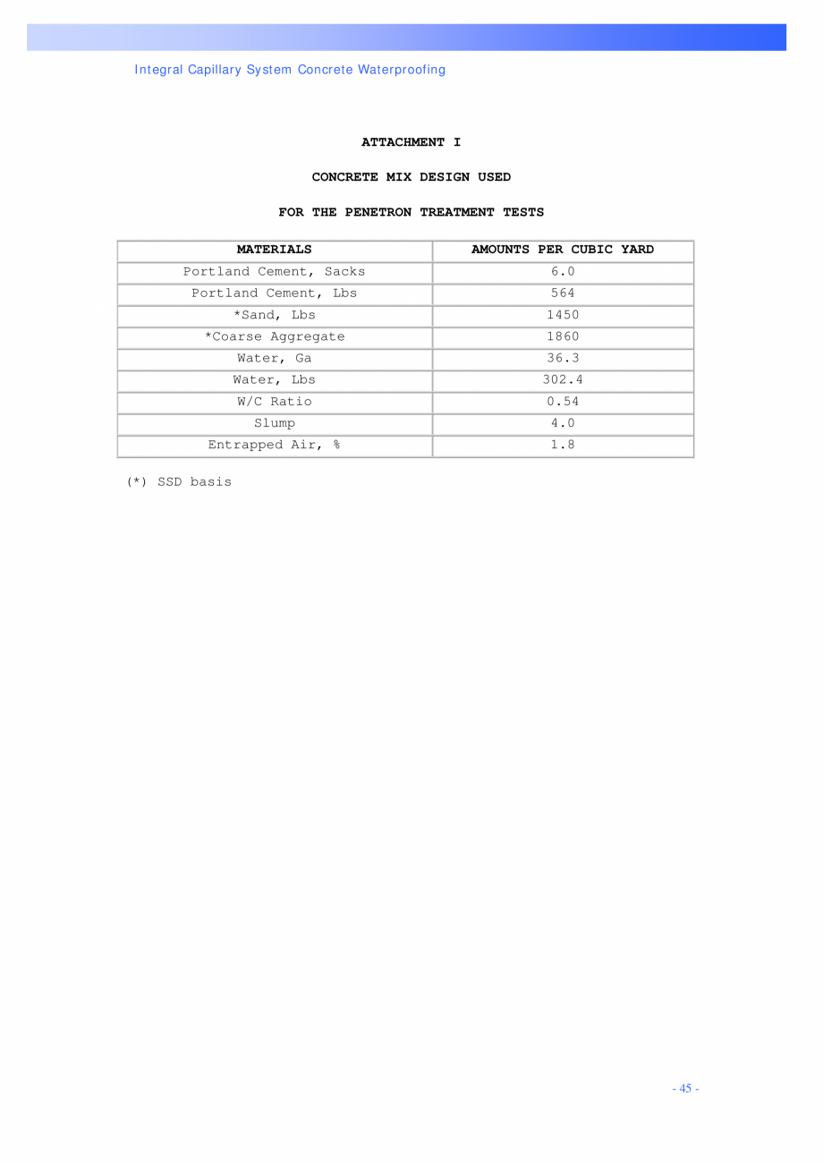 Pagina 45-Structuri de poduri PENETRON PENETRON PLUS, PENETRON ADMIX Catalog, brosura Engleza 