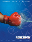 Protectia totala a betonului PENETRON