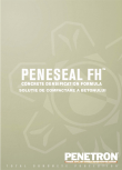Solutie de compactare a betonului PENETRON - PENESEAL FH
