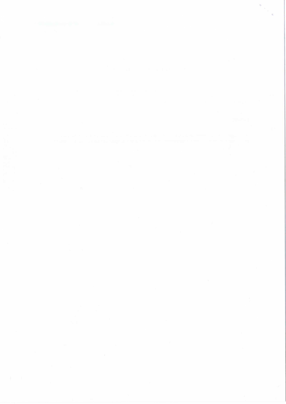 Pagina 4-Declaratie de Performanta - CEMACON EVT 100 (50-99mm)  CEMACON Certificare produs Romana 