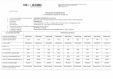 Declaratie de performanta buiandrug 115 x 69 mm CEMACON