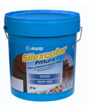 MAPEI Silexcolor Pittura - Mortar pentru repararea structurilor MAPEI