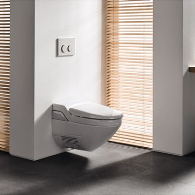 GEBERIT Detaliu amenajare toaleta cu sistem de WC cu rezervor incastrat - Sisteme incastrabile pentru WC