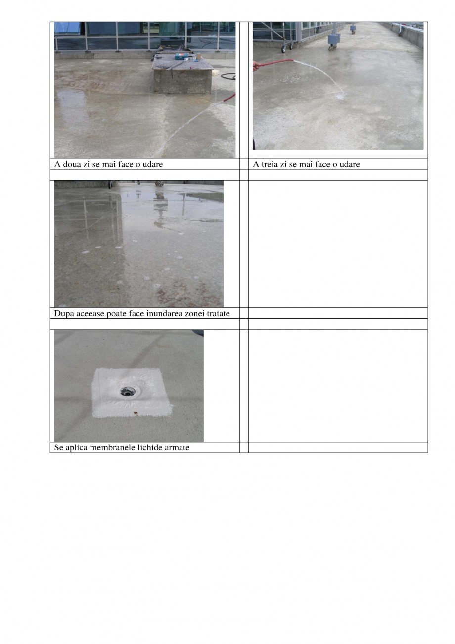 Pagina 3-Aplicabilitatea produselor
 UNICO PROFIT RADCON FORMULA #7, RADFLOOR, RADGUARD, RADMYX Instructiuni ...