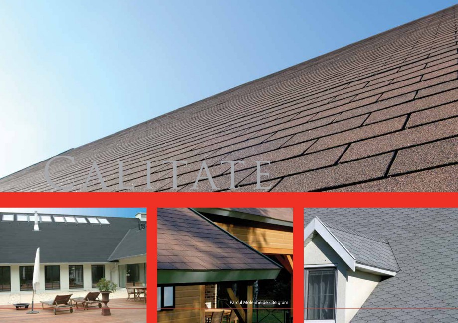 Pagina 10-Sindrile bituminoase IKO Catalog, brosura Romana 