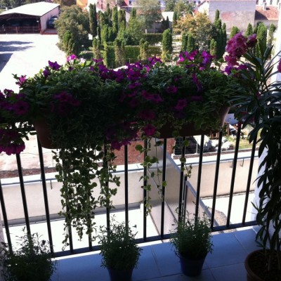  Jardiniere pentru balcon - SIMACEK Gardening 