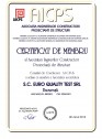 Certificat de membru al Asociatiei Inginerilor Constructori Proiectanti de Structuri