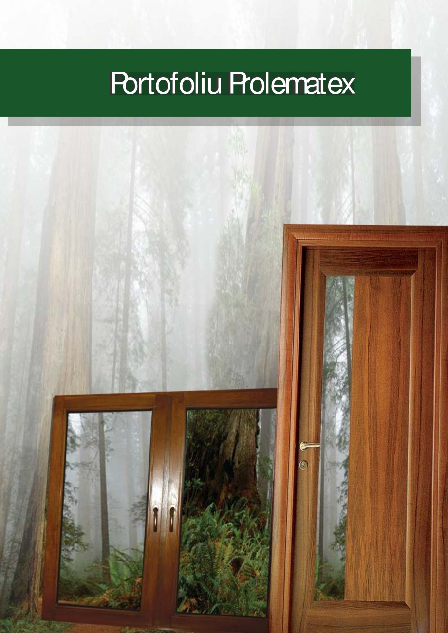 Pagina 1-Ferestre din lemn stratificat PROLEMATEX Lucrari, proiecte Romana Portofoliu Prolematex

Institu ii...