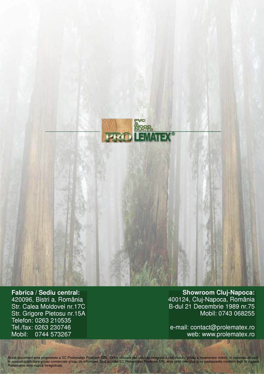 Pagina 10-Ferestre din lemn stratificat PROLEMATEX Lucrari, proiecte Romana 