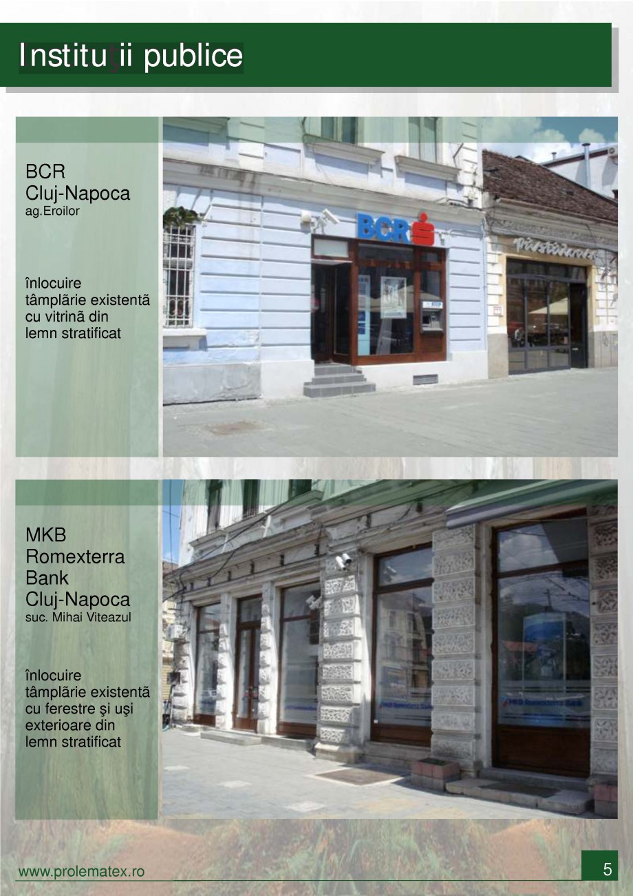 Pagina 6-Usi de interior din lemn stratificat  PROLEMATEX Lucrari, proiecte Romana 