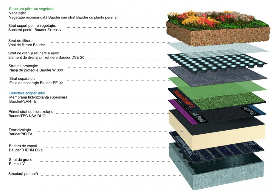 Pagina 1-Sistem acoperis verde BAUDER Catalog, brosura Romana Structura părții cu vegetație Vegetație:...