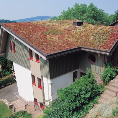 BAUDER Casa cu acoperis verde - Acoperis cu vegetatie extensiva, intensiva BAUDER
