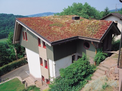 Casa cu acoperis verde Acoperisuri cu vegetatie extensiva, intensiva