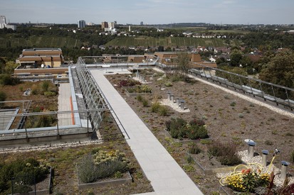 Exemplificare a amenajarii unui acoperis verde Acoperisuri cu vegetatie extensiva, intensiva