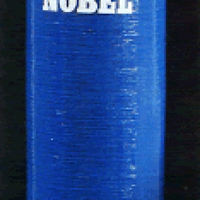 NOBEL Filtru nisip  curtos-carbune fiberglass- FCV;FACV - Filtre de apa pentru uz industrial NOBEL