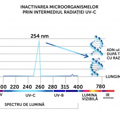 AlecoAir Grafic dezinfectare cu UVC - Dezumidificatoare casnice si profesionale cu consum redus de energie AlecoAir