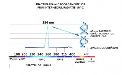 Grafic dezinfectare cu UVC D25 TRADITIO Dezumidificare