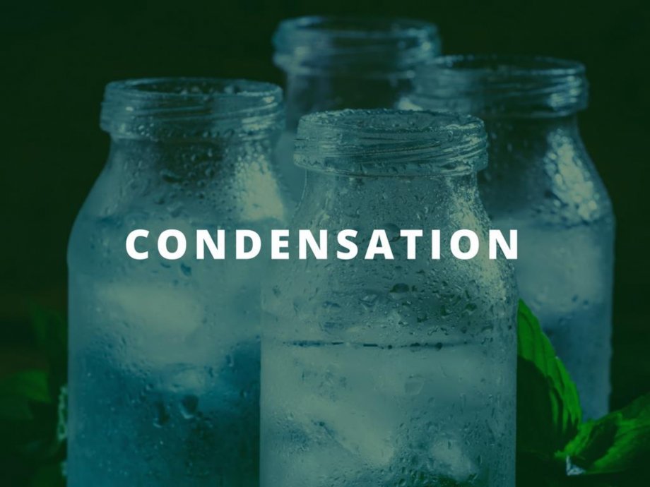 Pagina 7-O scurta istorie a DST GROUP DST Catalog, brosura Engleza 