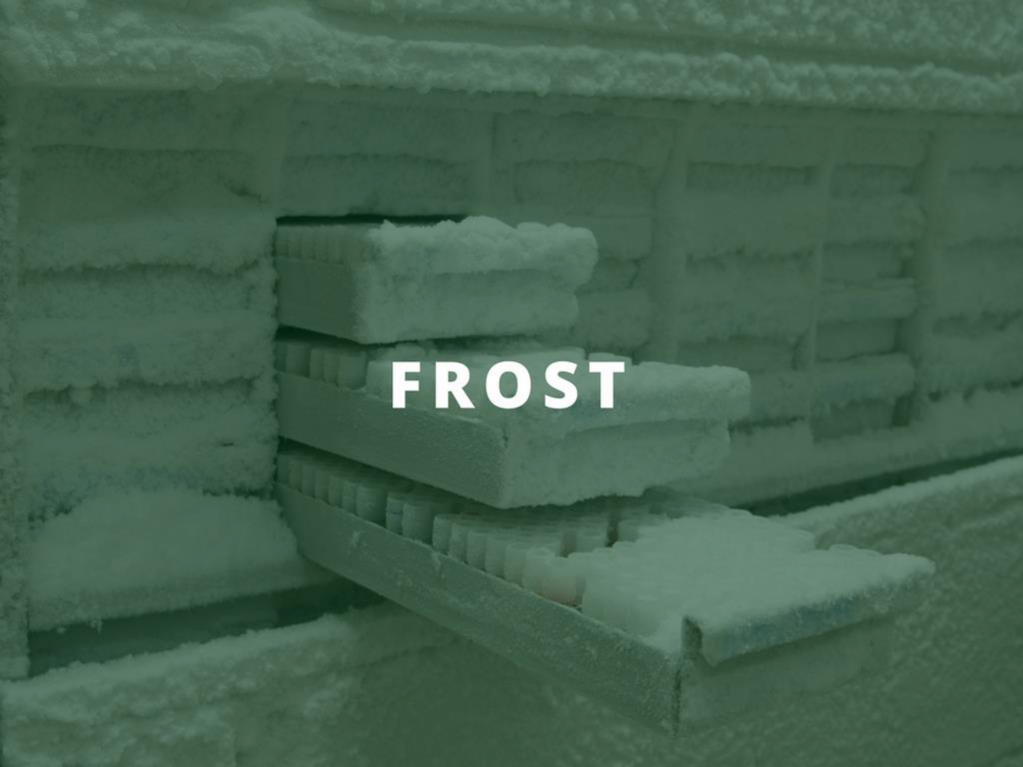 Pagina 8-O scurta istorie a DST GROUP DST Catalog, brosura Engleza 