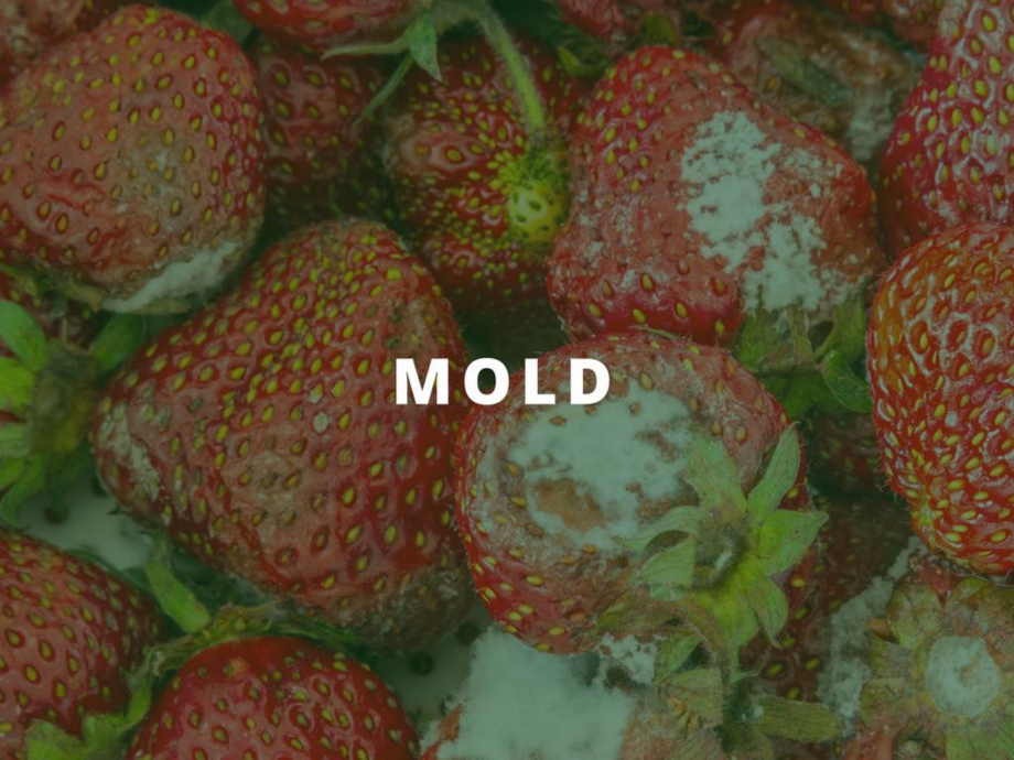 Pagina 9-O scurta istorie a DST GROUP DST Catalog, brosura Engleza 