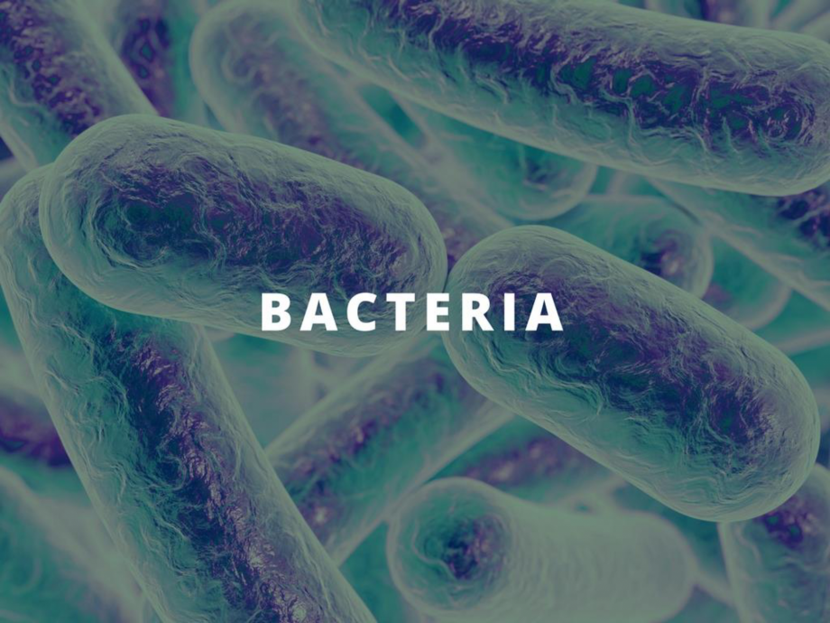 Pagina 10-O scurta istorie a DST GROUP DST Catalog, brosura Engleza 