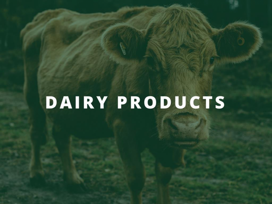 Pagina 19-O scurta istorie a DST GROUP DST Catalog, brosura Engleza 