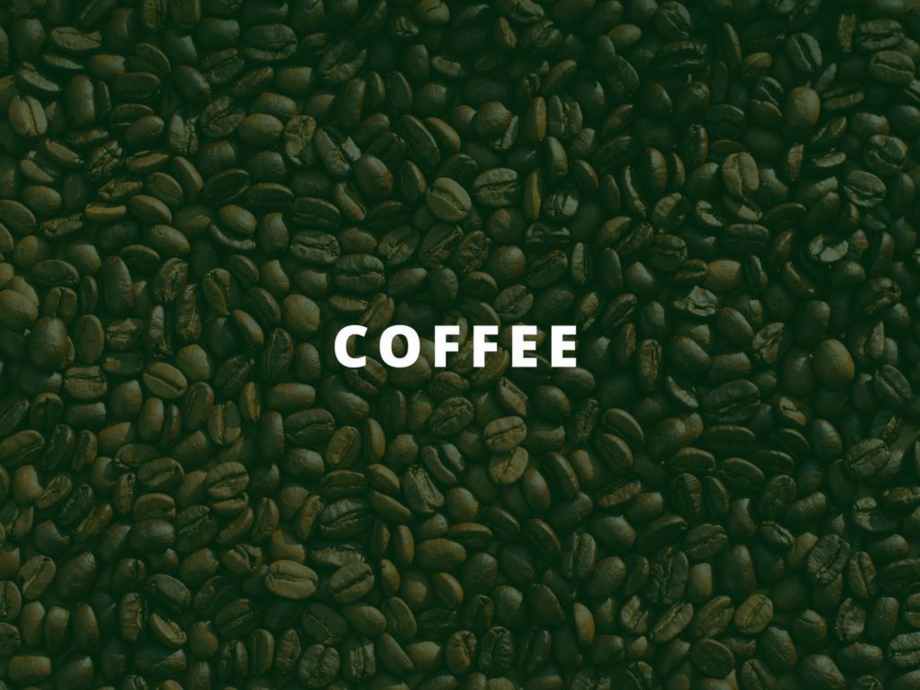 Pagina 20-O scurta istorie a DST GROUP DST Catalog, brosura Engleza 