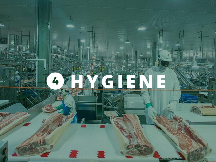 Pagina 27-O scurta istorie a DST GROUP DST Catalog, brosura Engleza 