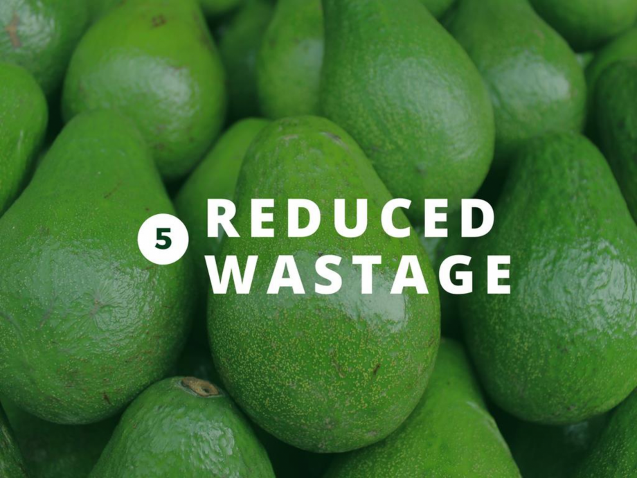 Pagina 28-O scurta istorie a DST GROUP DST Catalog, brosura Engleza 