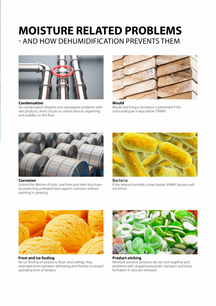 Pagina 3-Dezumidifcatoare - De la dispozitive portabile la sisteme industriale DST Catalog, brosura otecting ...