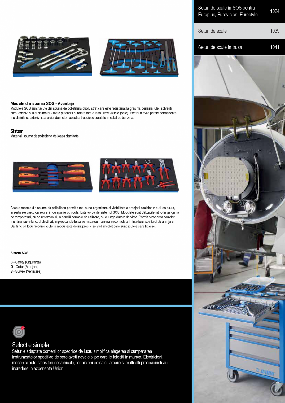 Pagina 1021 - CATALOG-UNIOR-TEPID-INDUSTRIAL-2025_rev5  Catalog, brosura Romana  aliat
• lama...