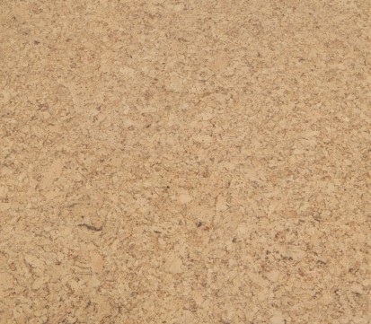 Parchet din pluta Cork GO - Ambition Parchet din pluta