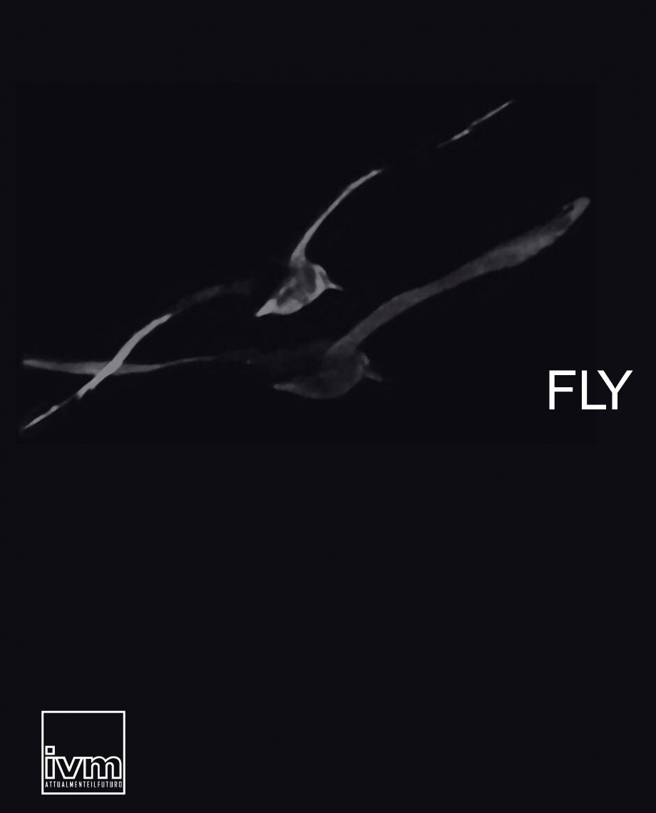 Pagina 1-Mobilier pentru birouri IVM Colectia FLY Catalog, brosura Engleza, Franceza, Italiana Impiallacciato...